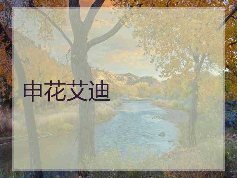 申花艾迪