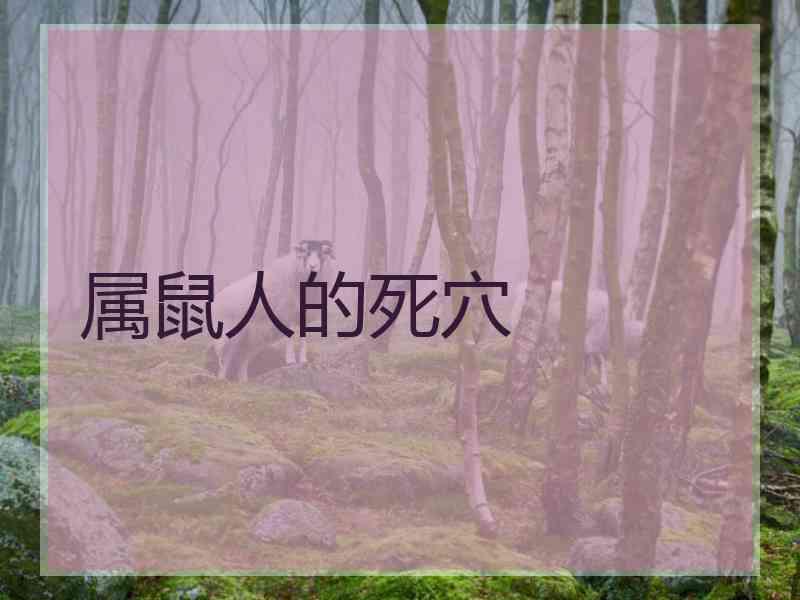 属鼠人的死穴