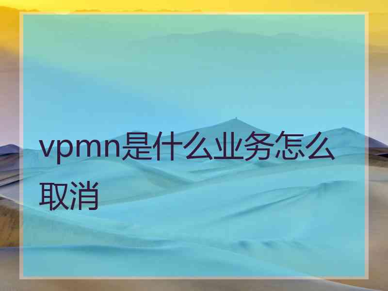 vpmn是什么业务怎么取消