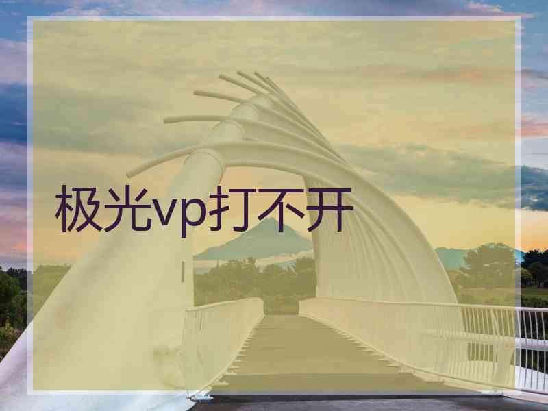 极光vp打不开