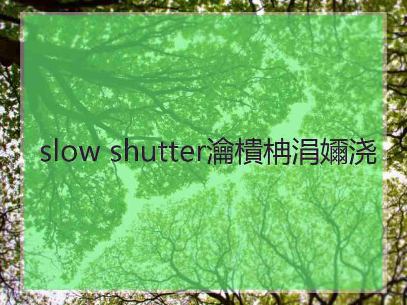 slow shutter瀹樻柟涓嬭浇