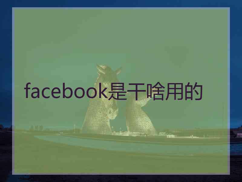 facebook是干啥用的