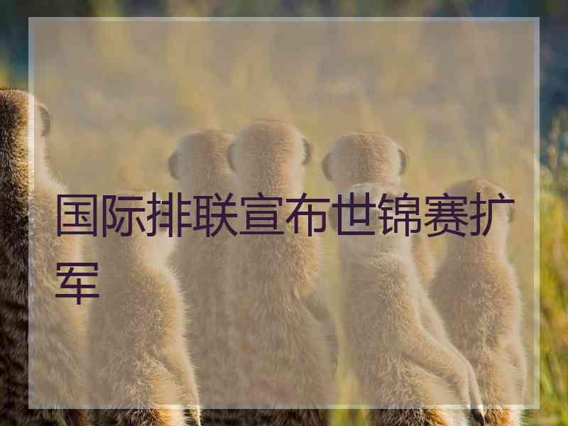 国际排联宣布世锦赛扩军