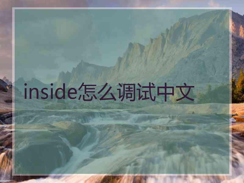 inside怎么调试中文