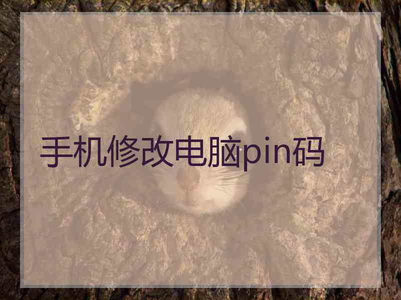 手机修改电脑pin码