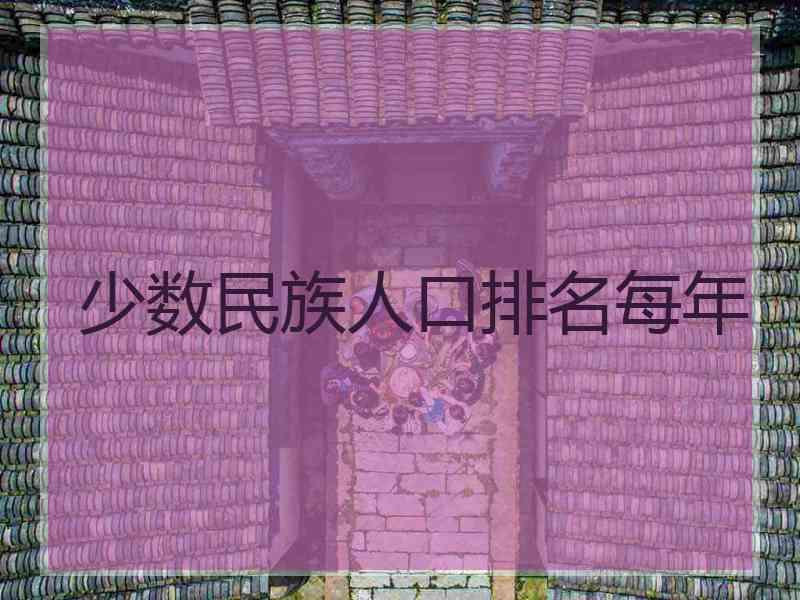 少数民族人口排名每年