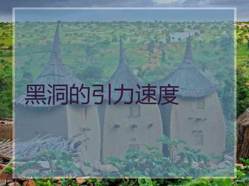 黑洞的引力速度