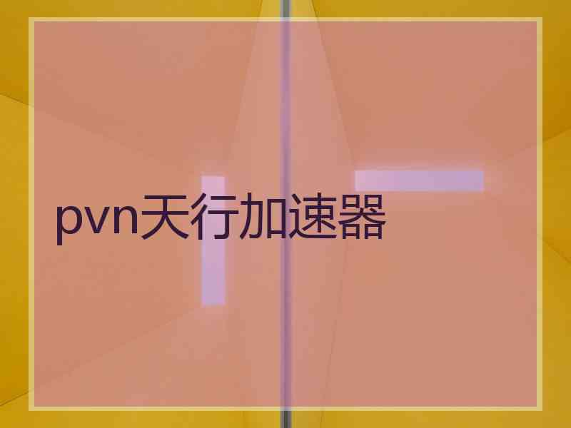 pvn天行加速器