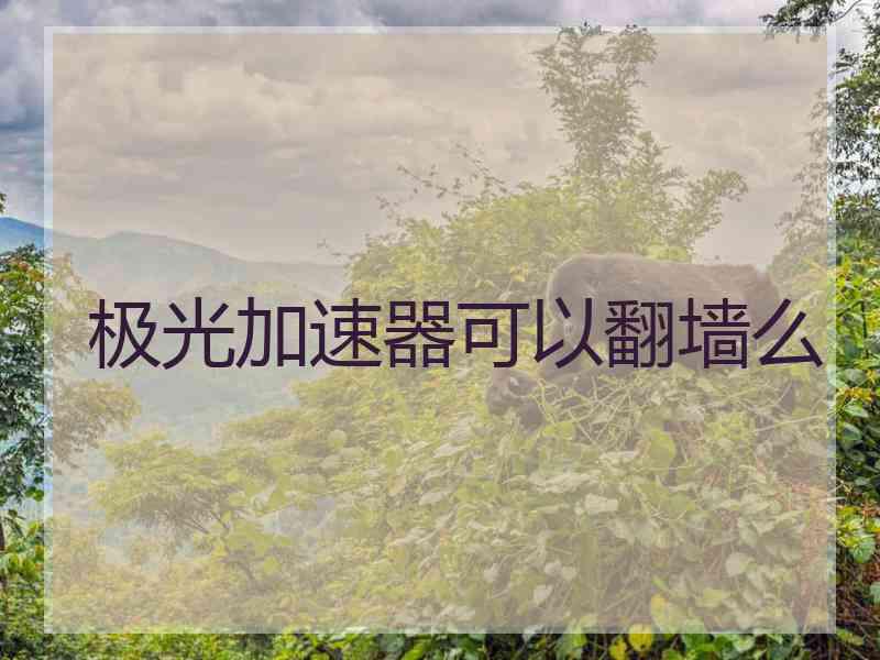 极光加速器可以翻墙么