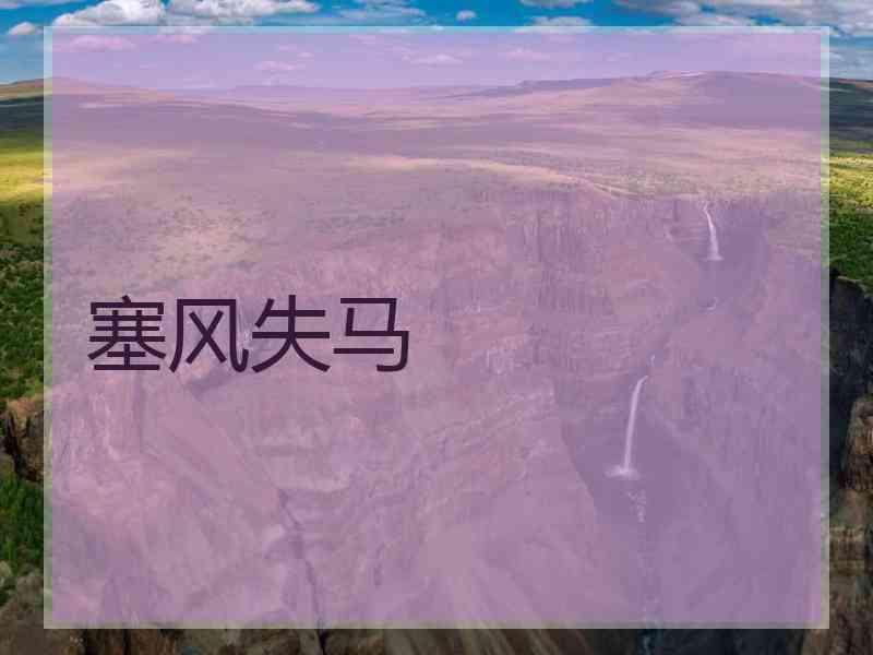 塞风失马