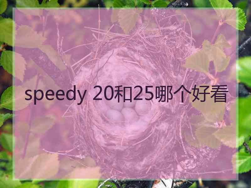 speedy 20和25哪个好看