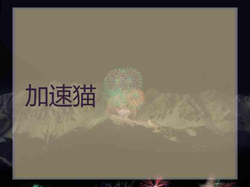 加速猫