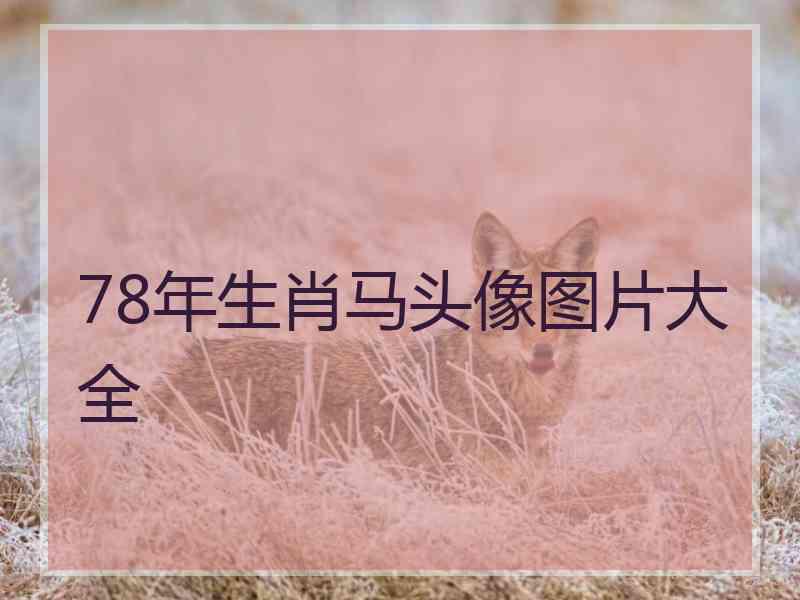 78年生肖马头像图片大全