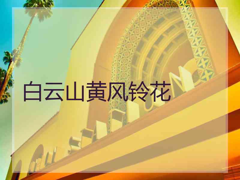 白云山黄风铃花