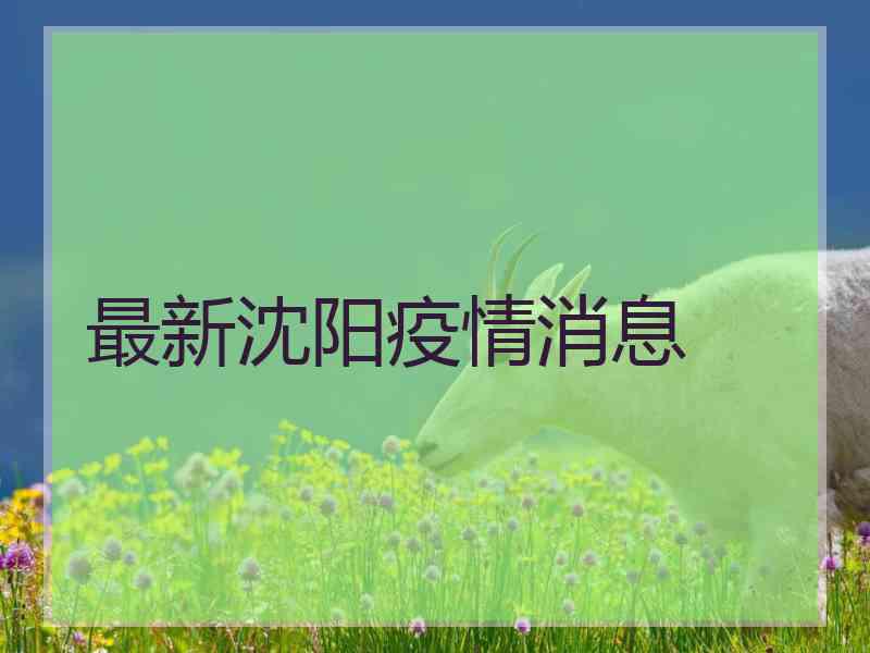 最新沈阳疫情消息