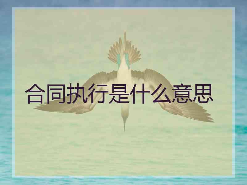 合同执行是什么意思