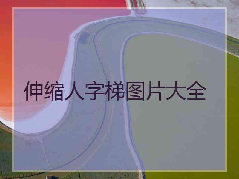 伸缩人字梯图片大全