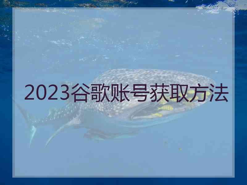 2023谷歌账号获取方法