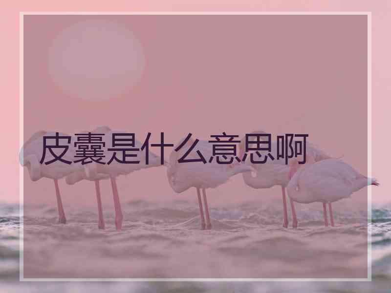 皮囊是什么意思啊