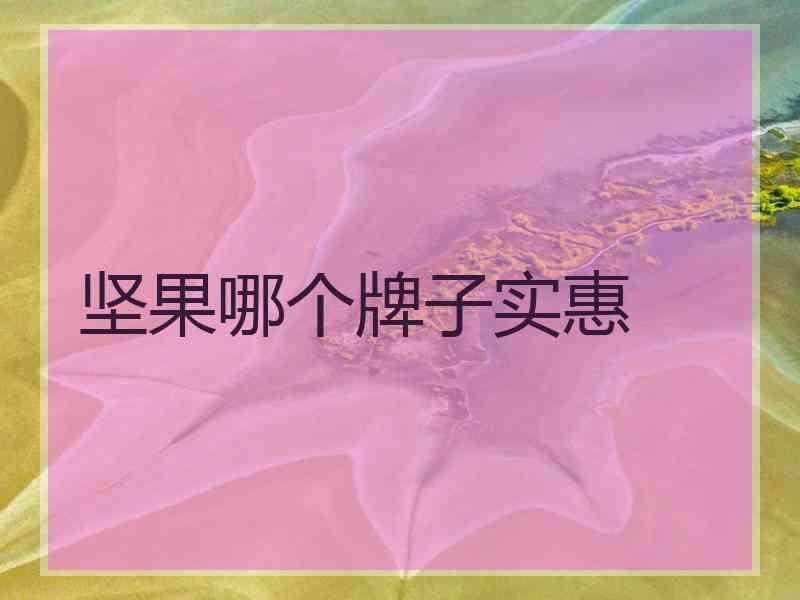 坚果哪个牌子实惠