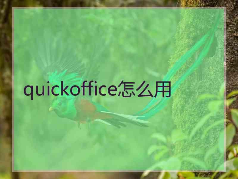 quickoffice怎么用