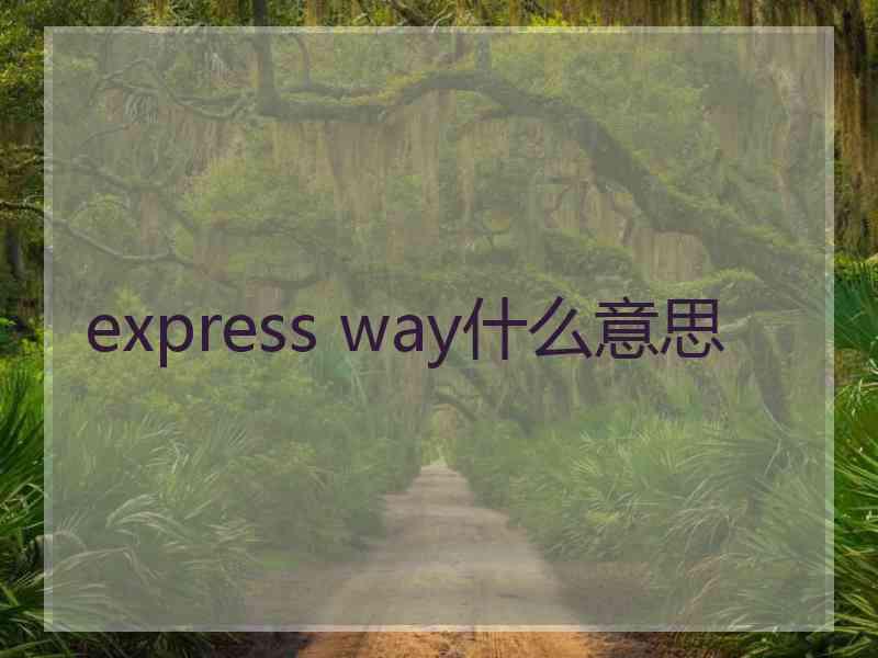 express way什么意思