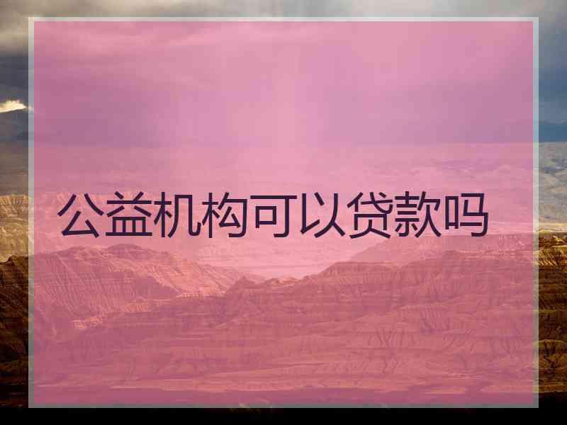 公益机构可以贷款吗
