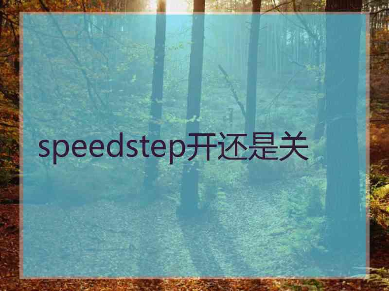 speedstep开还是关