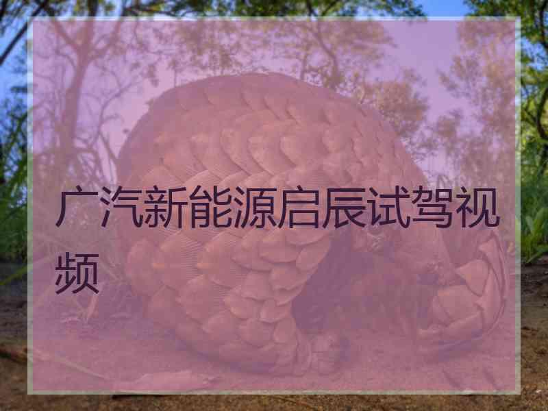 广汽新能源启辰试驾视频