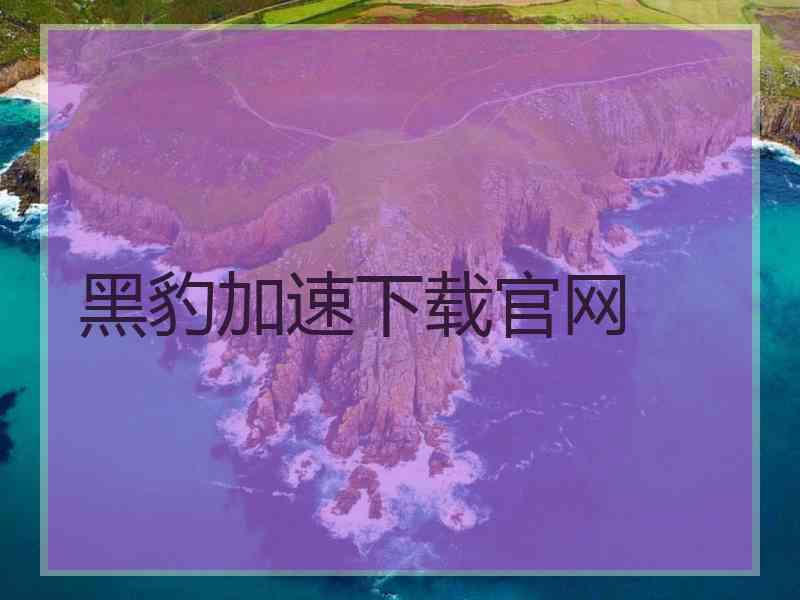 黑豹加速下载官网