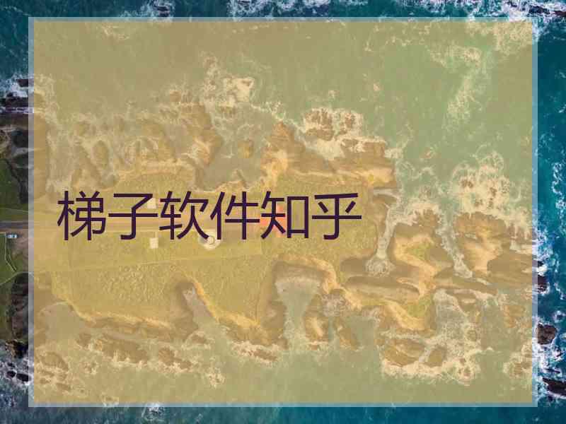 梯子软件知乎