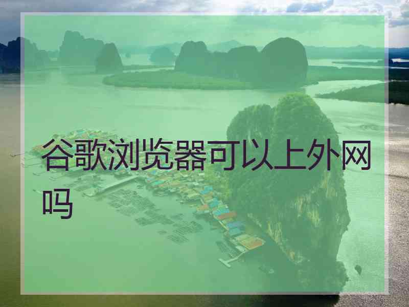 谷歌浏览器可以上外网吗