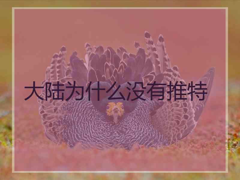 大陆为什么没有推特