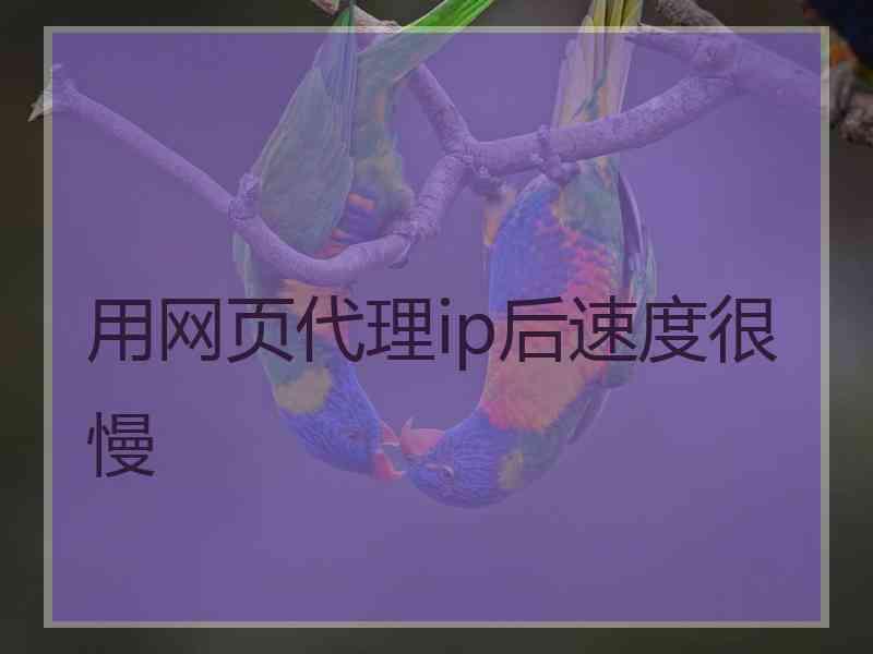 用网页代理ip后速度很慢
