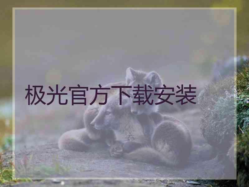 极光官方下载安装