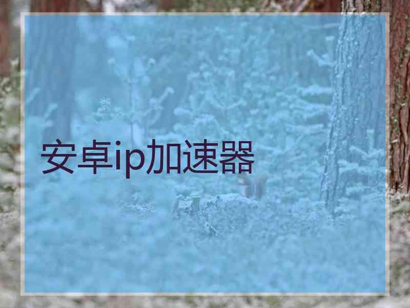 安卓ip加速器
