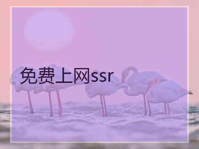 免费上网ssr