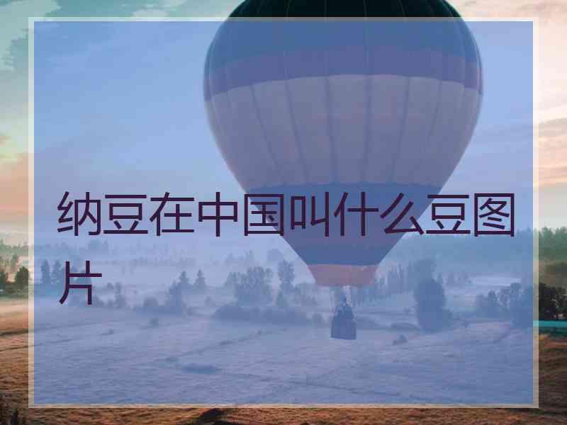 纳豆在中国叫什么豆图片