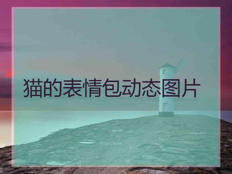 猫的表情包动态图片