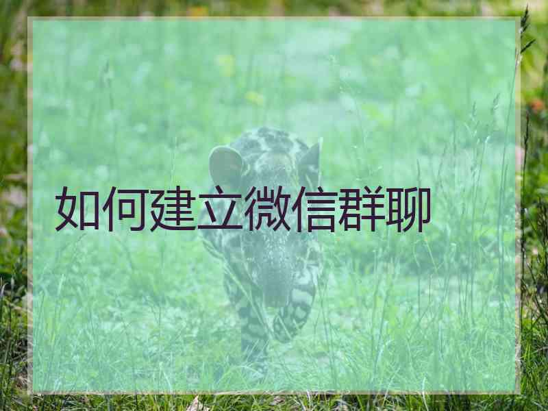 如何建立微信群聊