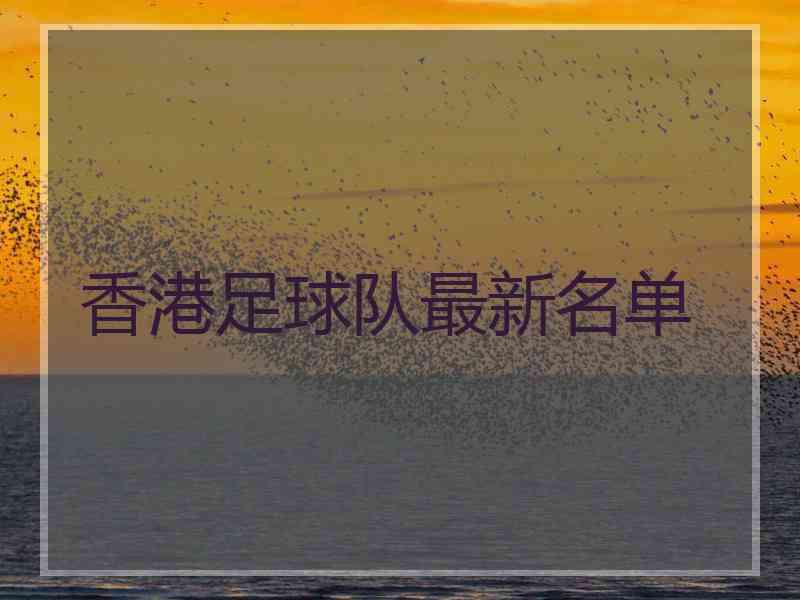 香港足球队最新名单