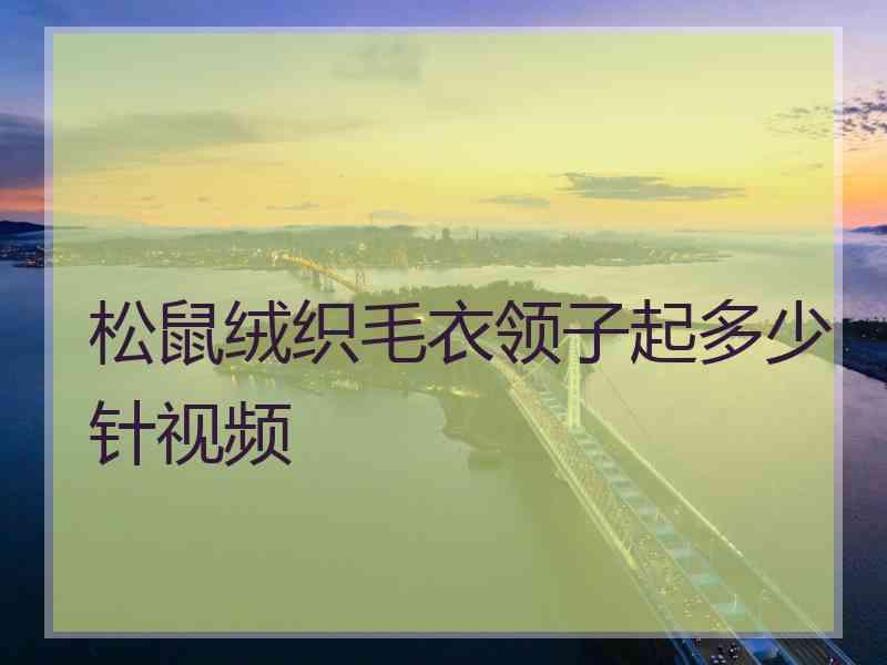 松鼠绒织毛衣领子起多少针视频