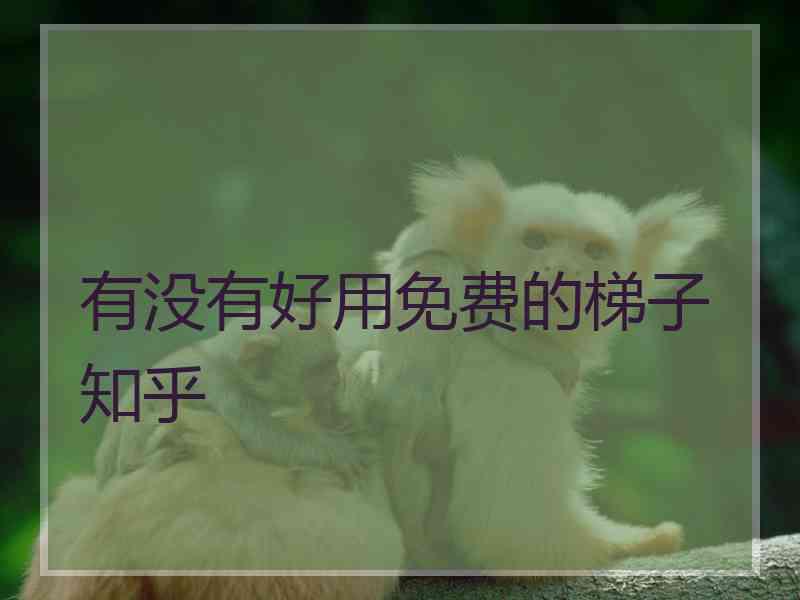 有没有好用免费的梯子 知乎