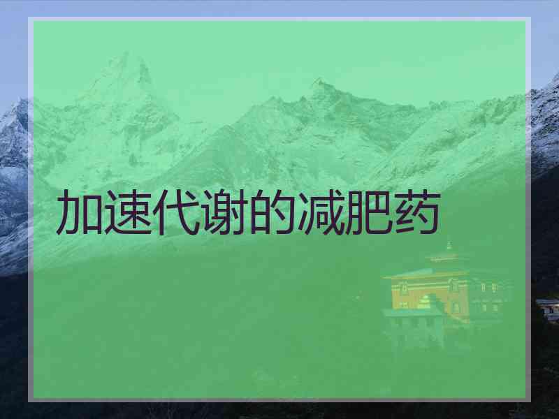 加速代谢的减肥药