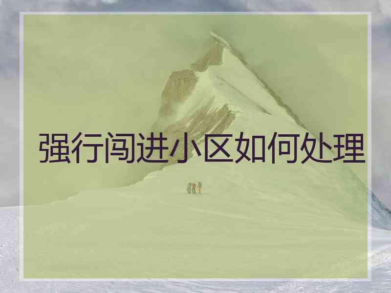 强行闯进小区如何处理