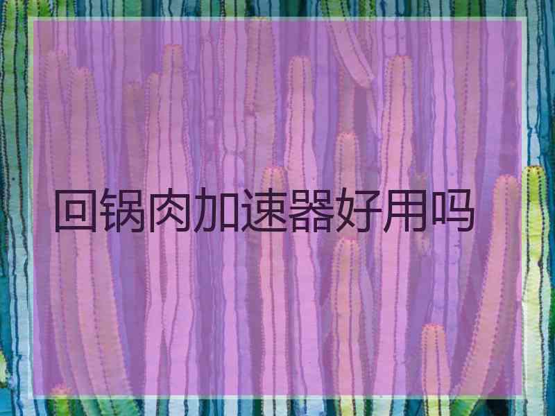 回锅肉加速器好用吗