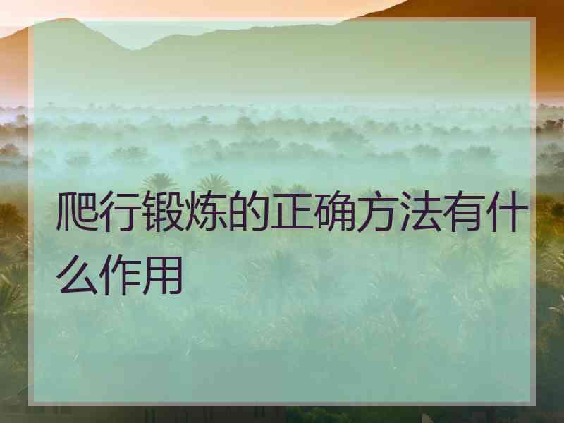 爬行锻炼的正确方法有什么作用