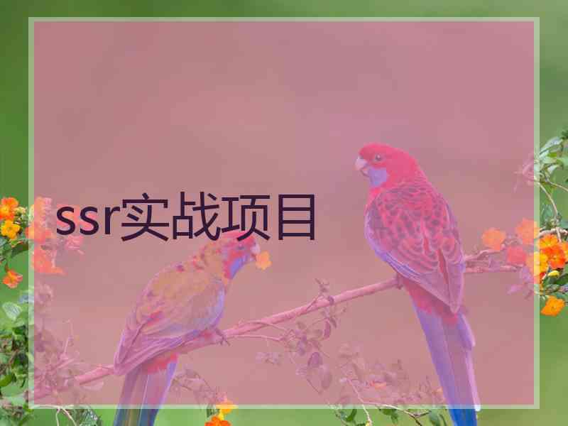 ssr实战项目