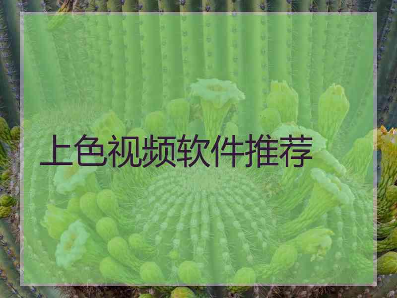 上色视频软件推荐