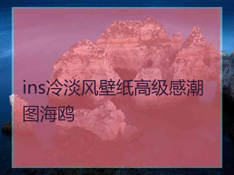 ins冷淡风壁纸高级感潮图海鸥